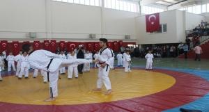 19 Mayıs Atatürkü Anma, Gençlik ve Spor Bayramı